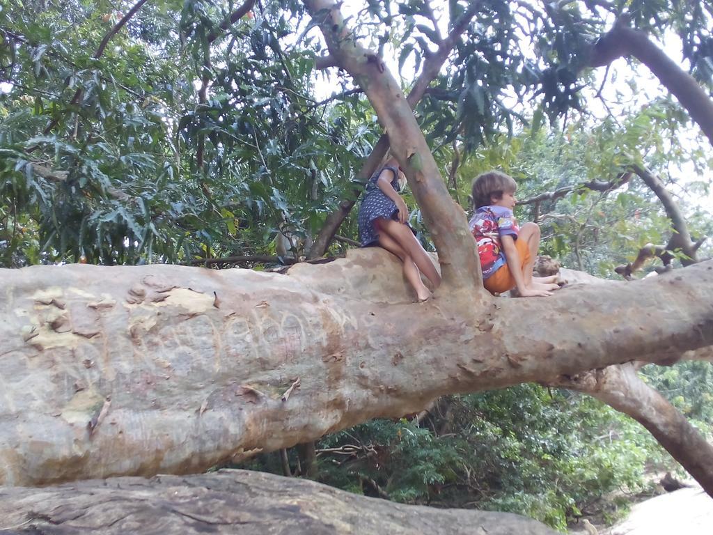 Lavendra Villa Mirissa